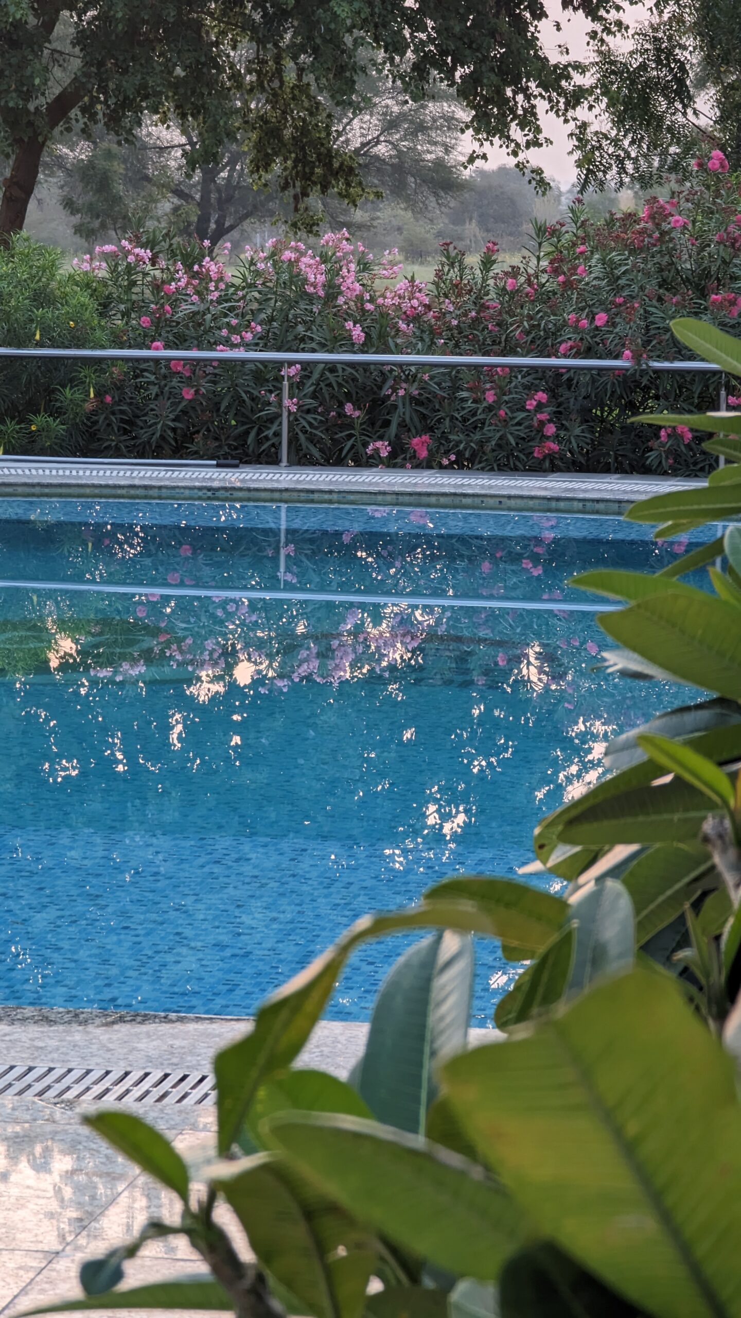 PXL_20230326_010527930