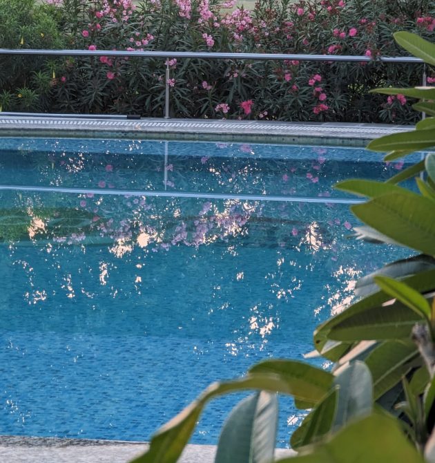 PXL_20230326_010527930